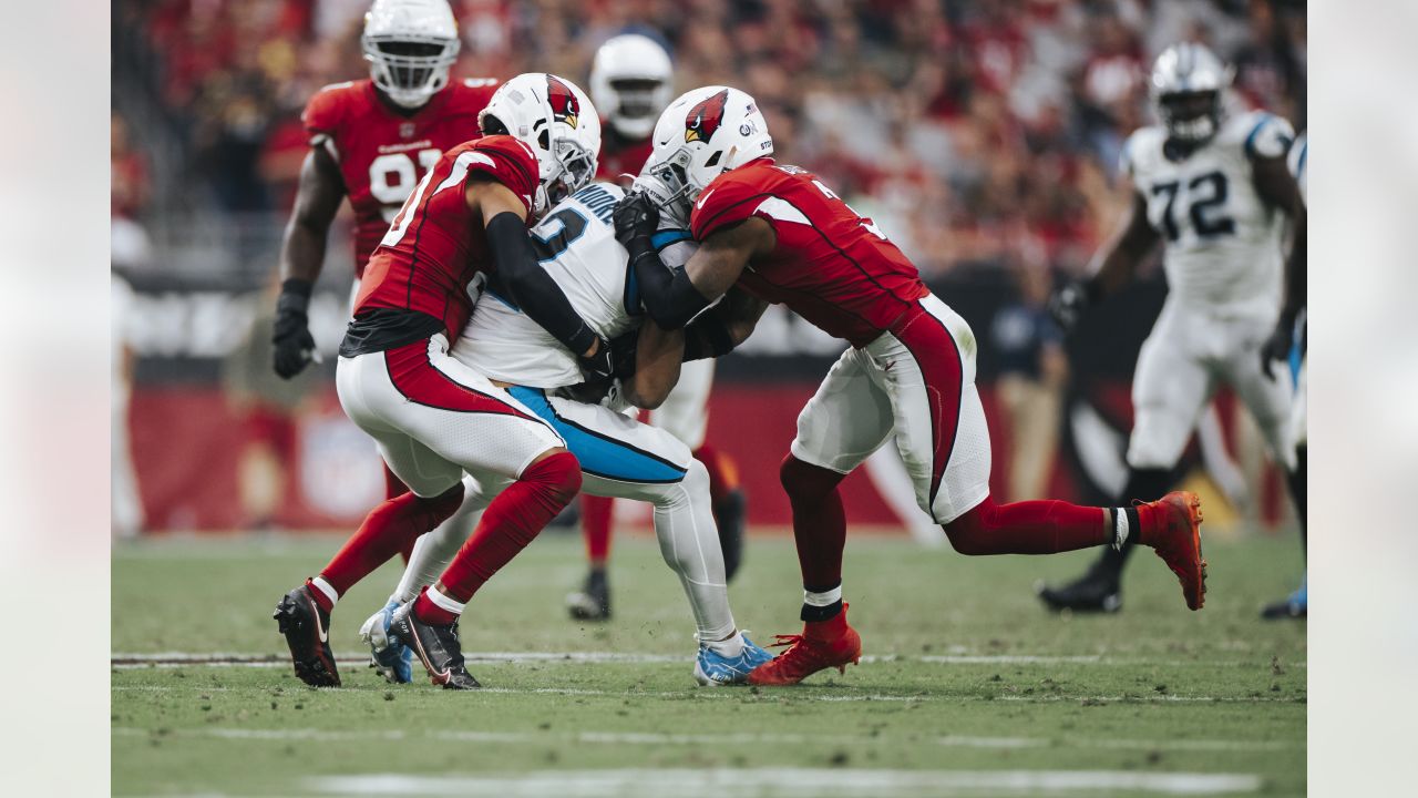 Panthers, Led by Flashy Cam Newton, Swamp Flailing Cardinals - The