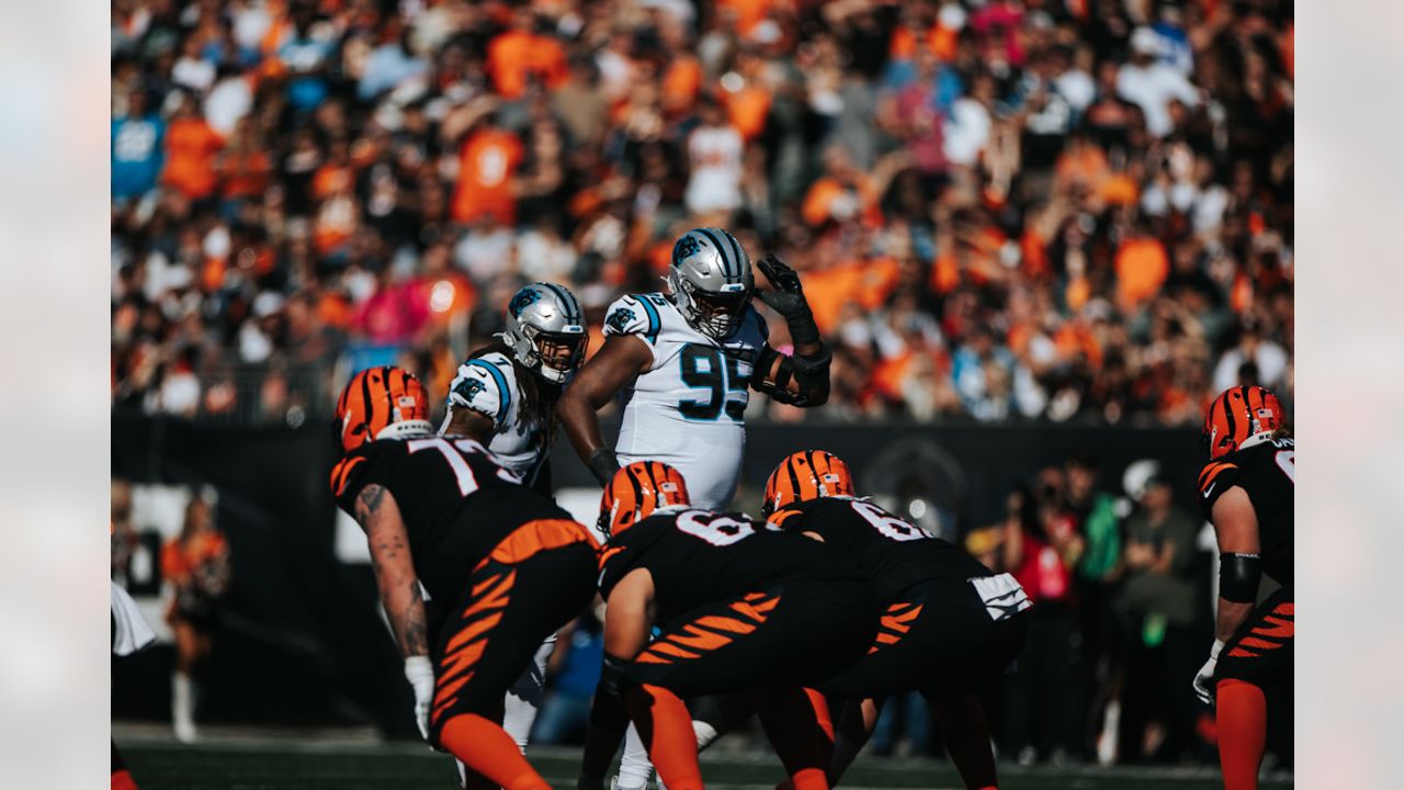 Cincinnati Bengals Prepare to Battle Carolina Panthers at Paycor Stadium, Sports & Recreation, Cincinnati