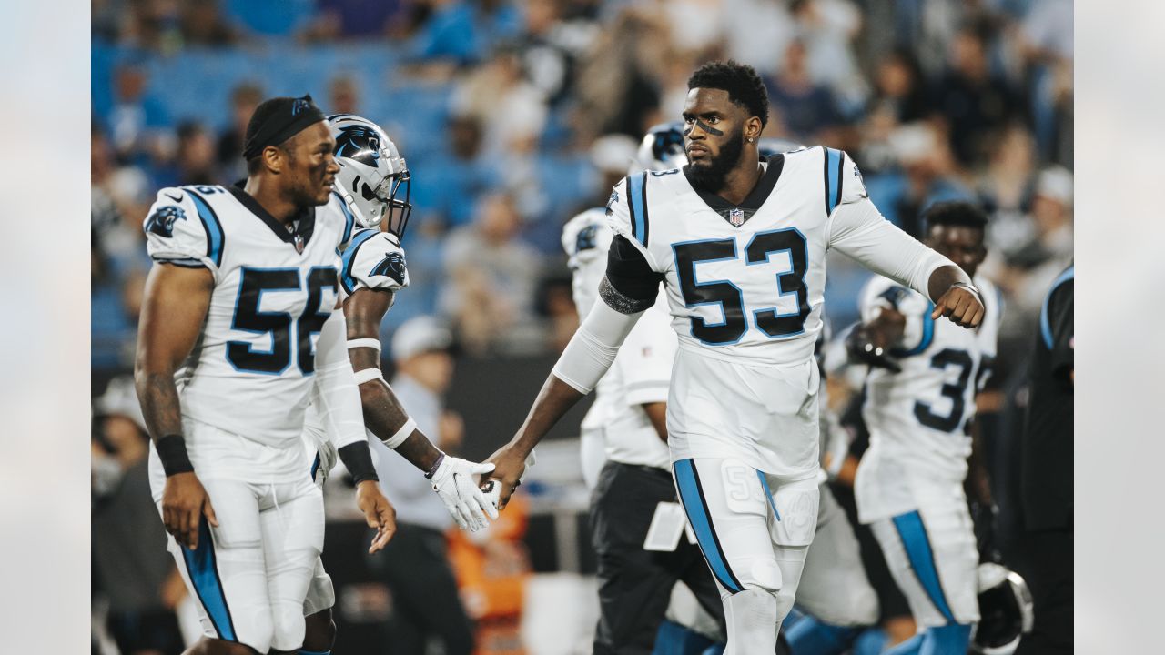 Carolina Panthers' Frankie Luvu measuring up to Greene's vision - ESPN - Carolina  Panthers Blog- ESPN