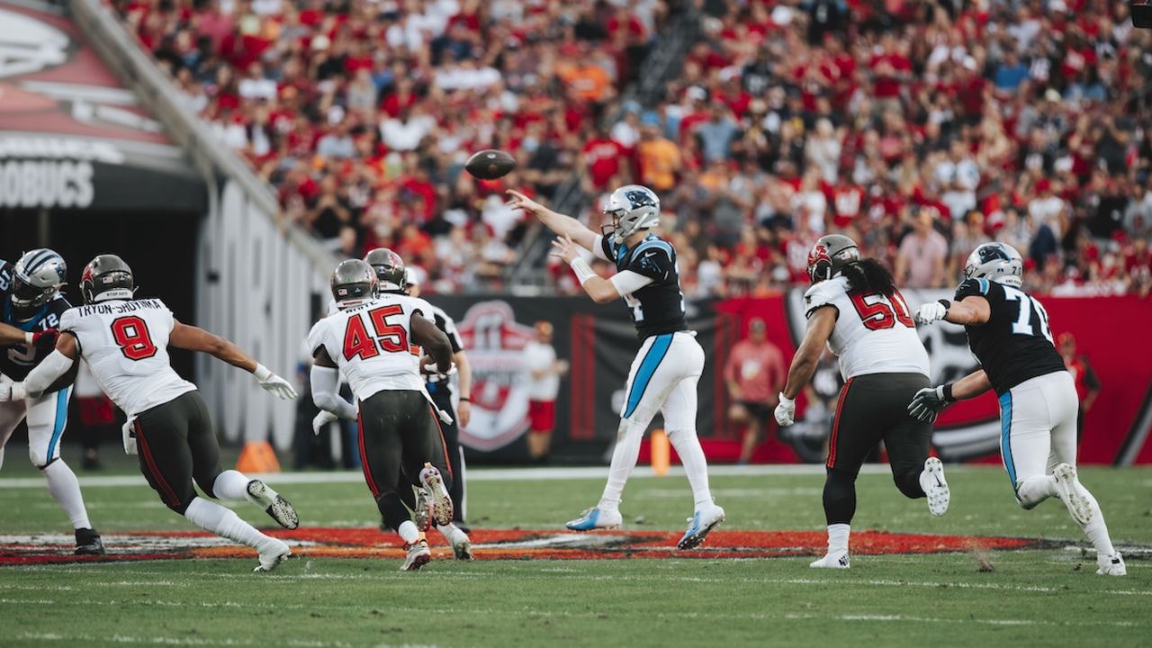 Tampa Bay Buccaneers Wrap Season with Decisive 41-17 Victory Over Carolina  Panthers – Florida National News