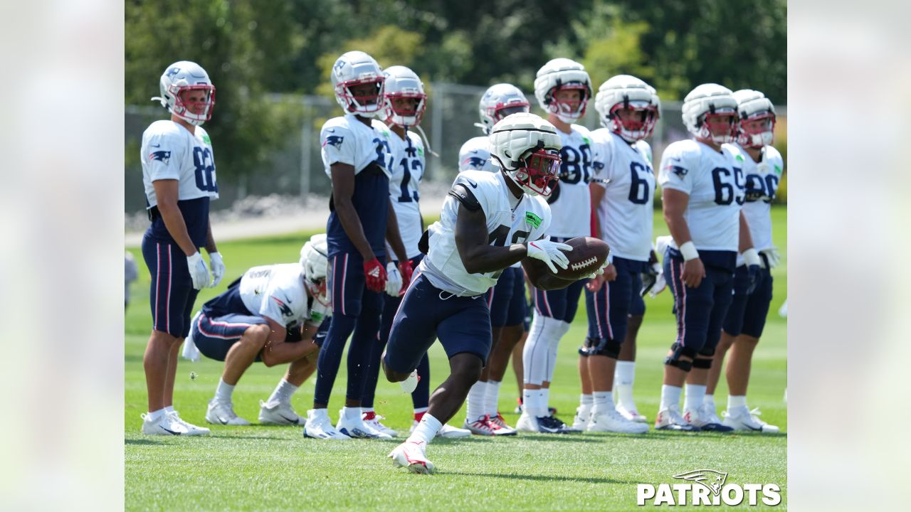 Former Michigan State football TE Matt Sokol impressing in New England  Patriots training camp