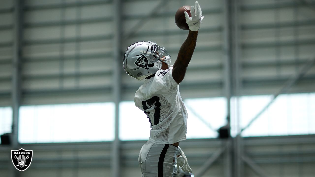 Get a first look at wide receiver DeSean Jackson in Raiders gear at Las  Vegas practice