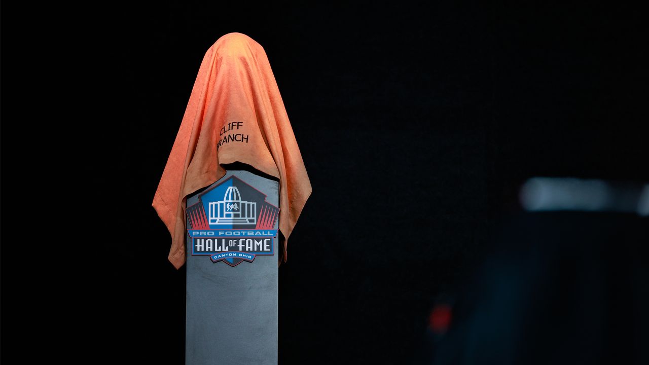 Photos: 2022 Pro Football Hall of Fame Enshrinement Day