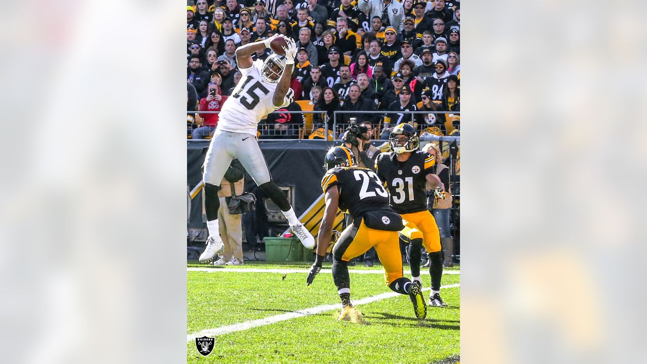 Michael Crabtree Stretches Out for an Amazing TD Catch!, Raiders vs.  Steelers