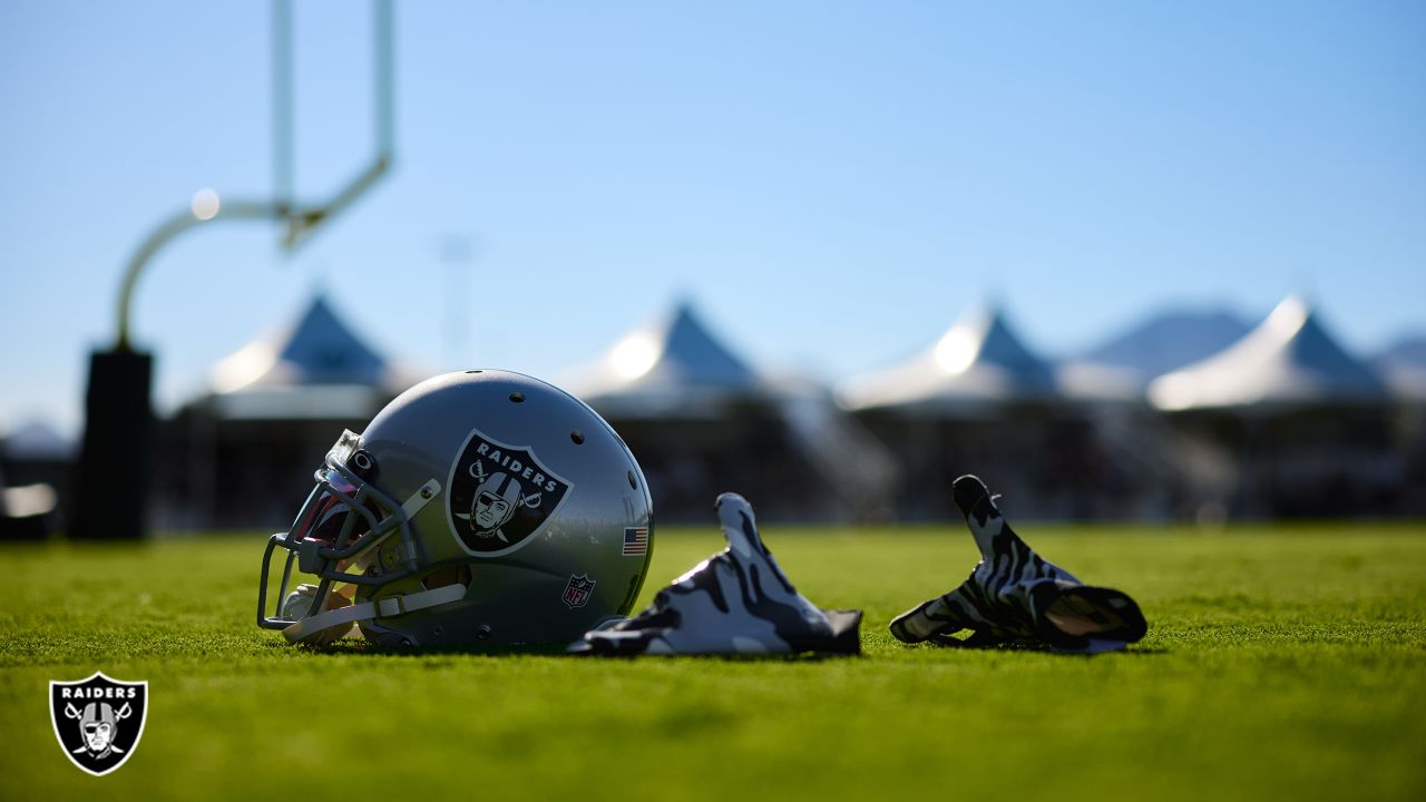 Las Vegas Raiders Helmet Flare