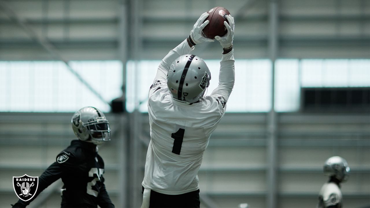 Get a first look at wide receiver DeSean Jackson in Raiders gear at Las  Vegas practice