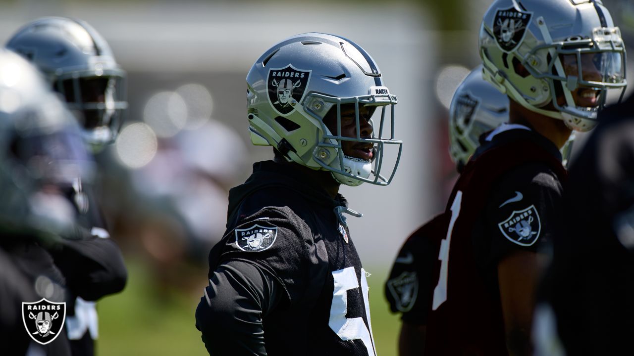 Las Vegas Raiders linebacker Jayon Brown (50) celebrates during the first  half of an NFL football game against the Arizona Cardinals Sunday, Sept.  18, 2022, in Las Vegas. (AP Photo/John Locher Stock