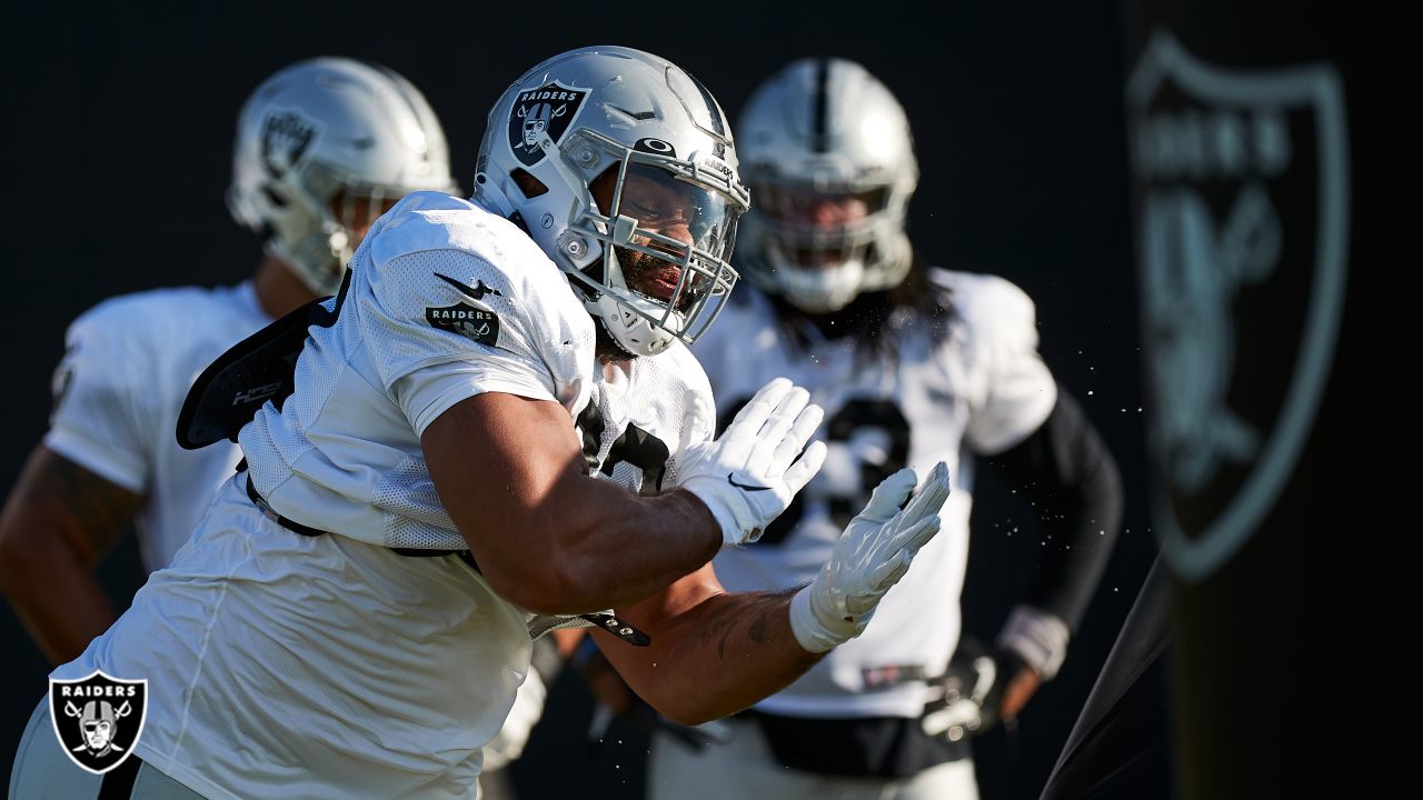 Las Vegas Raiders fullback Alec Ingold (45) jumps into the stands