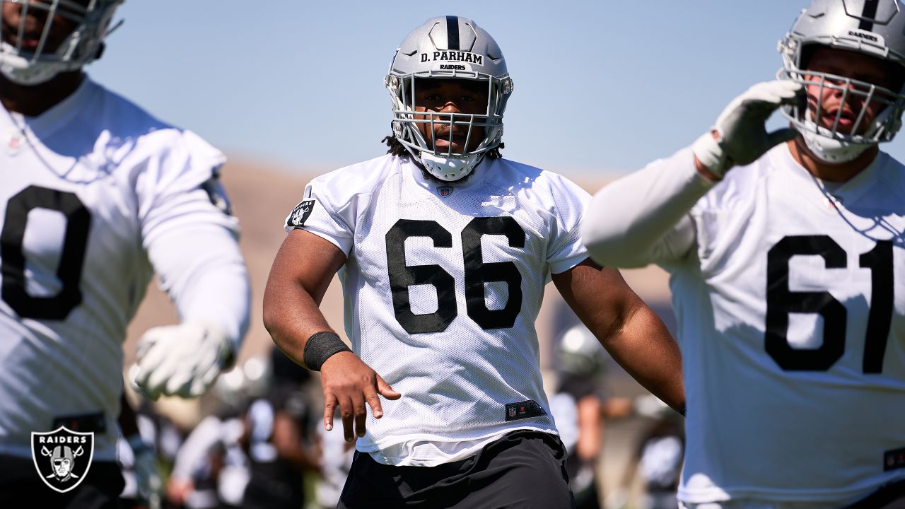 Zamir White, Brittain Brown Making Most Of Absence By Josh Jacobs, More RB  Reinforcements - Raiders Blog