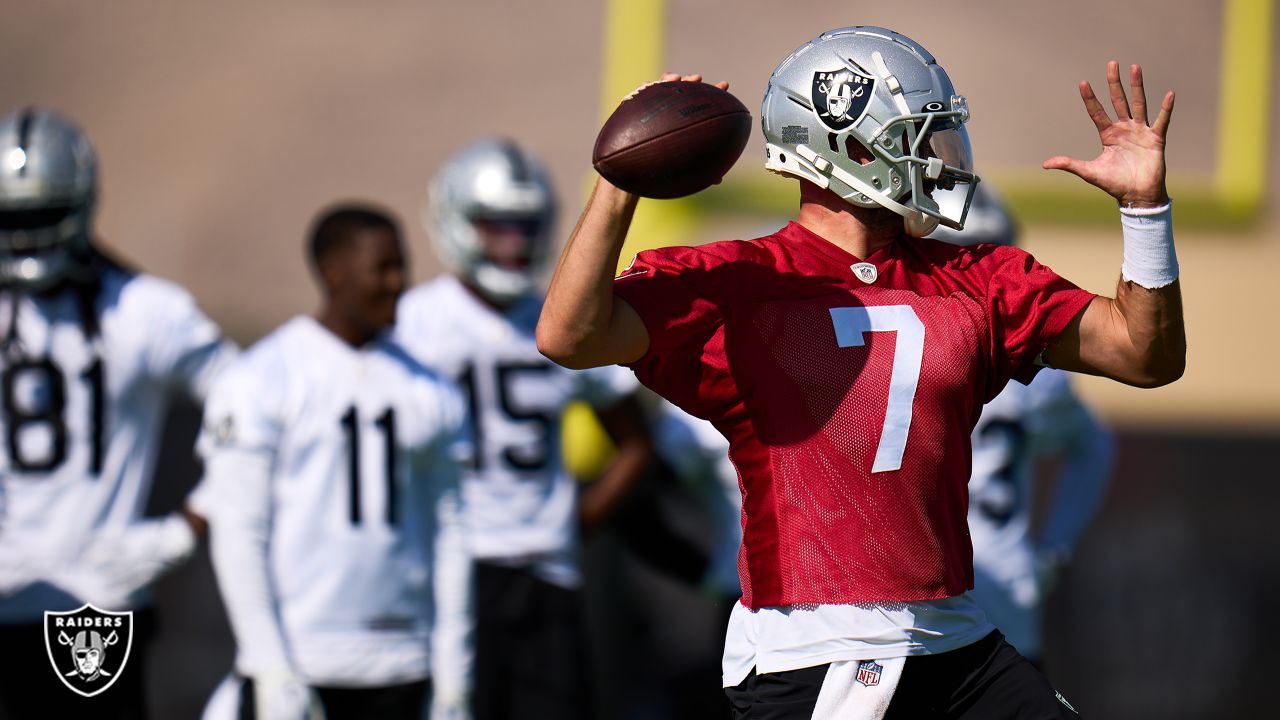 Raiders: Brian Hoyer's perfect Davante Adams description at training camp