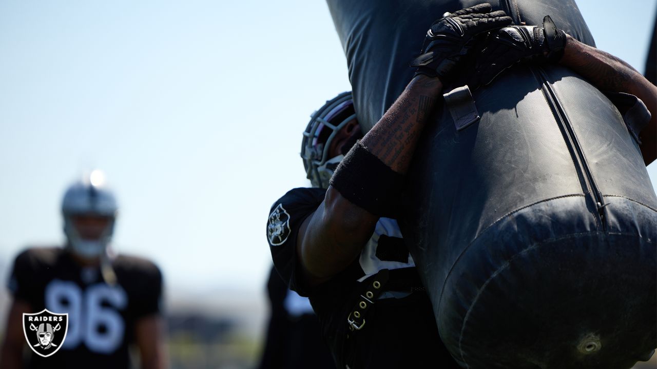 Safety Isaiah Pola-Mao of the Las Vegas Raiders celebrates with News  Photo - Getty Images