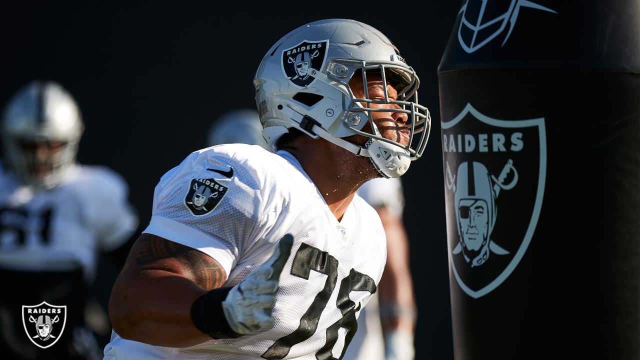 Las Vegas Raiders fullback Alec Ingold (45) jumps into the stands