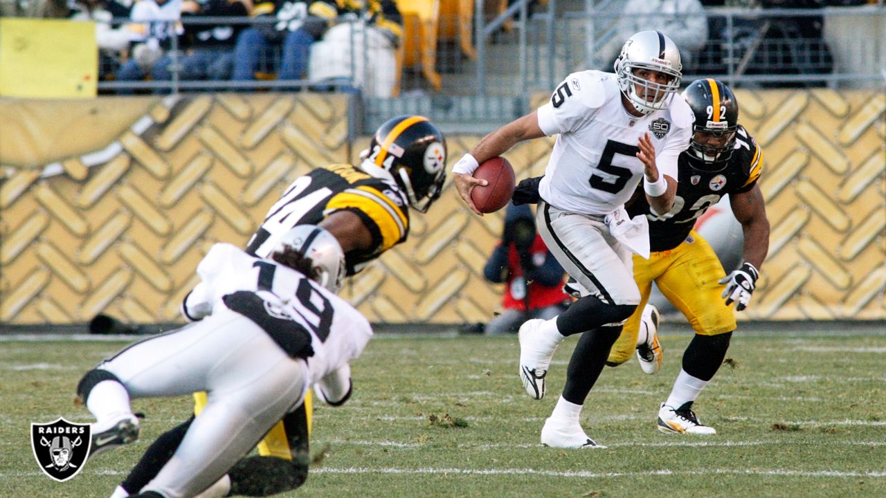 AB DETONATES for 284 Yards! (Raiders vs. Steelers 2015, Week 9