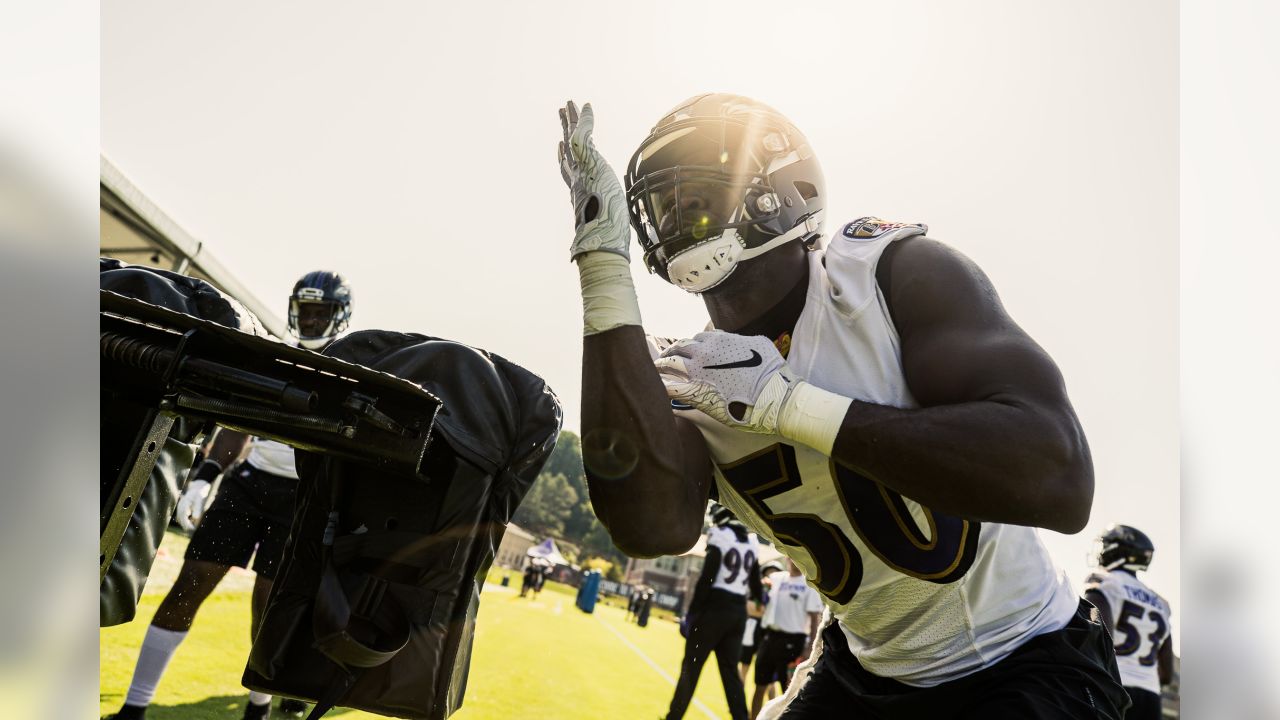 Eisenberg: Mark Ingram Gives Ravens' Young Offense a Strong Spine