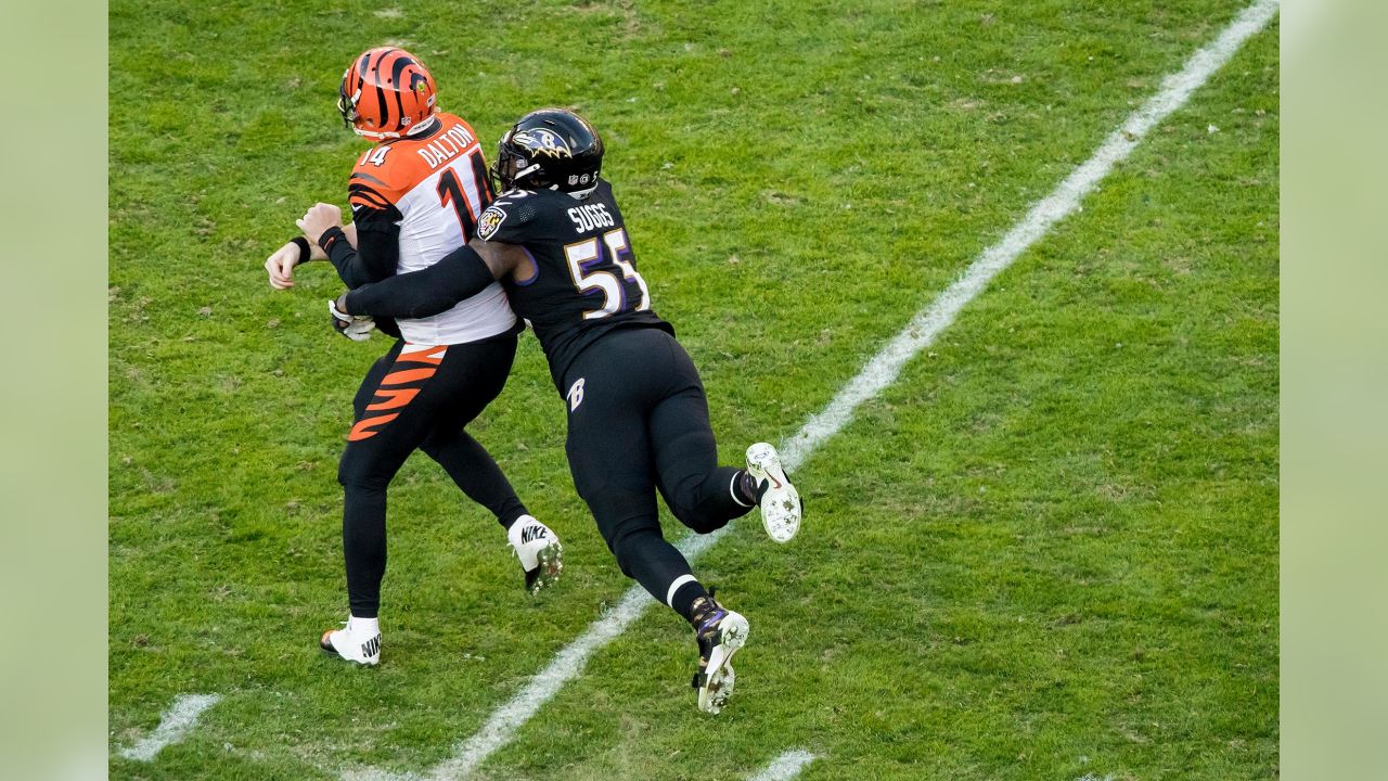 Baltimore Ravens NFL Ring of Honor: Lewis, Reed, Suggs & Ogden