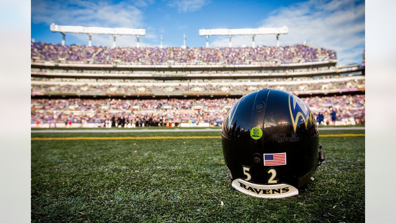 Photo: Baltimore Ravens Ray Lewis at New Meadowlands Stadium in New Jersey  - NYP20100913115 