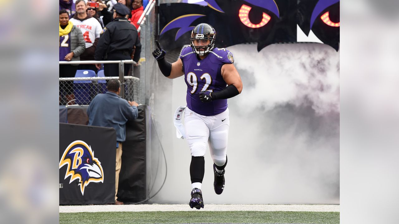 NFL Baltimore Ravens Haloti Ngata Matted Photo 