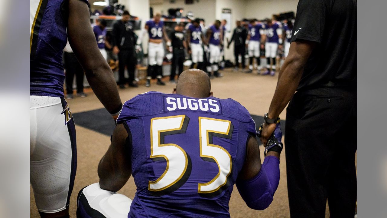 Ravens HC John Harbaugh: Terrell Suggs 'No-Brainer' For Ring Of Honor -  PressBox