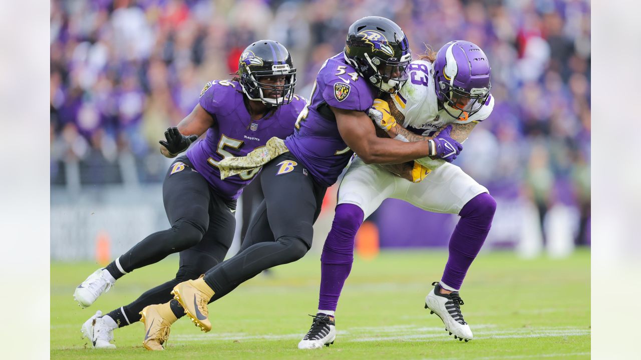 Photo: Minnesota Vikings vs Baltimore Ravens - WAG20081602 