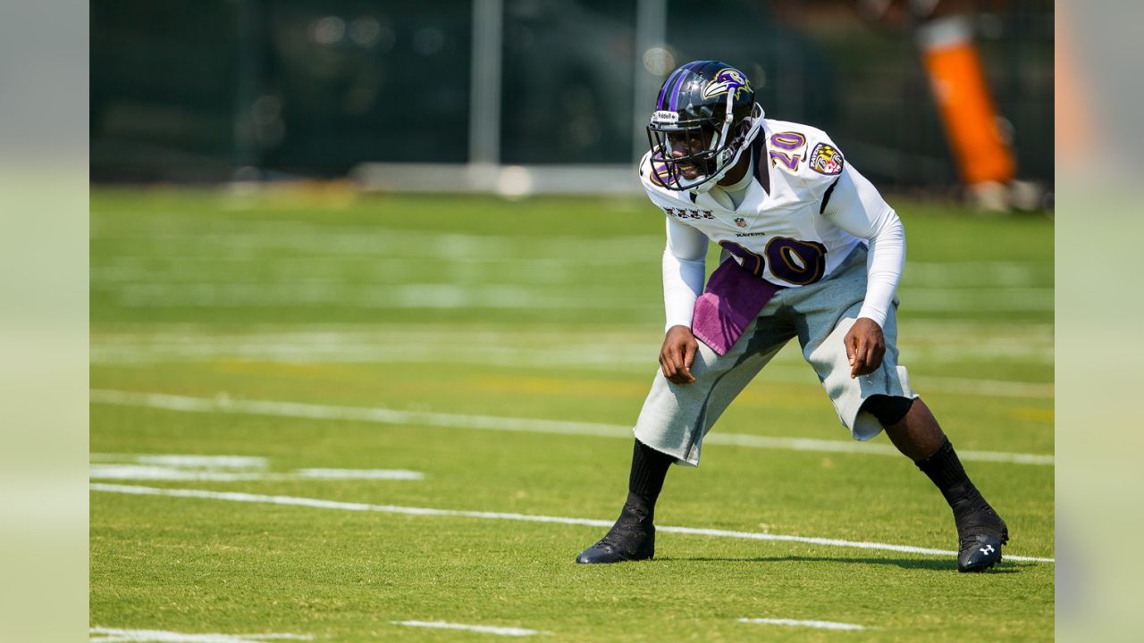 Baltimore Ravens' Ed Reed among 102 nominees for Pro Football Hall of Fame  