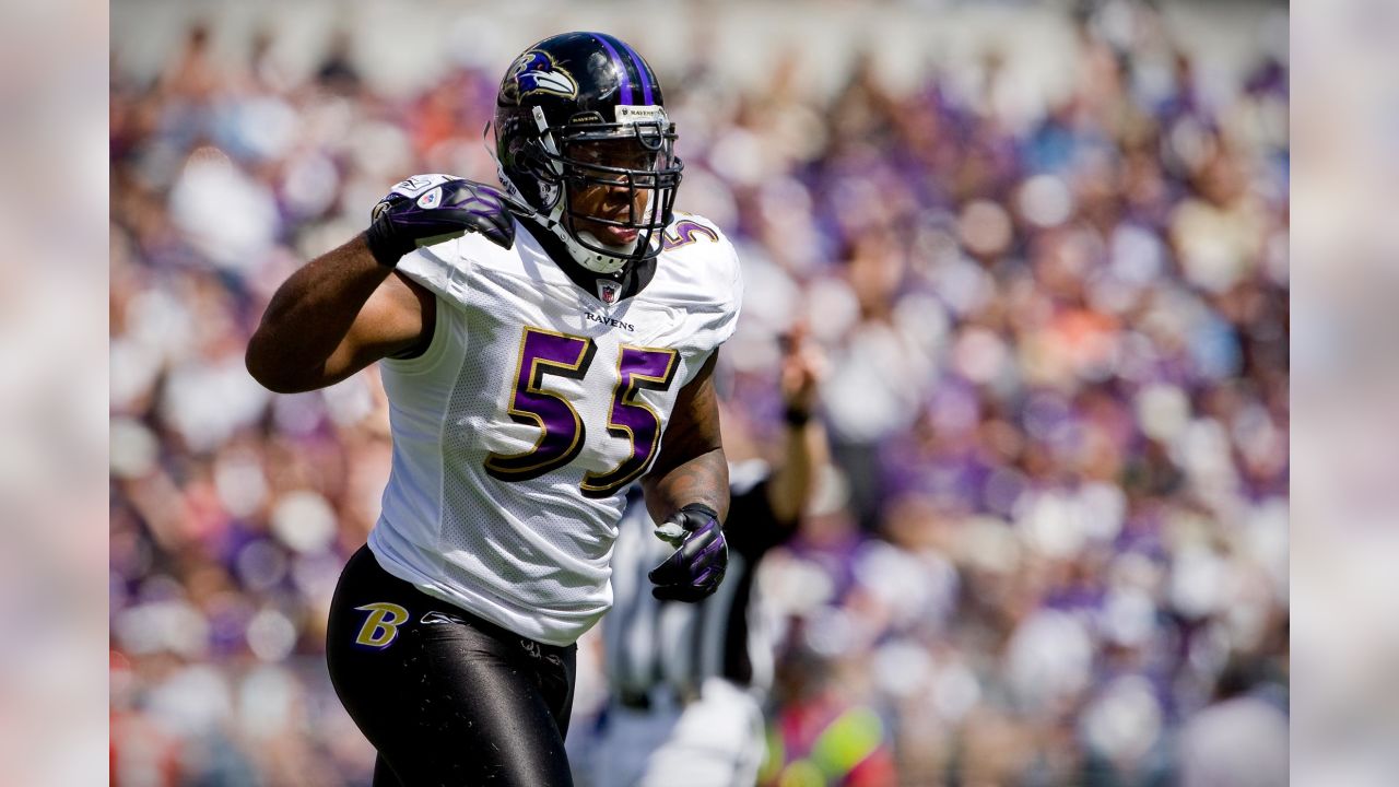 Ravens to honor Terrell Suggs in season finale - The Baltimore Times Online  Newspaper