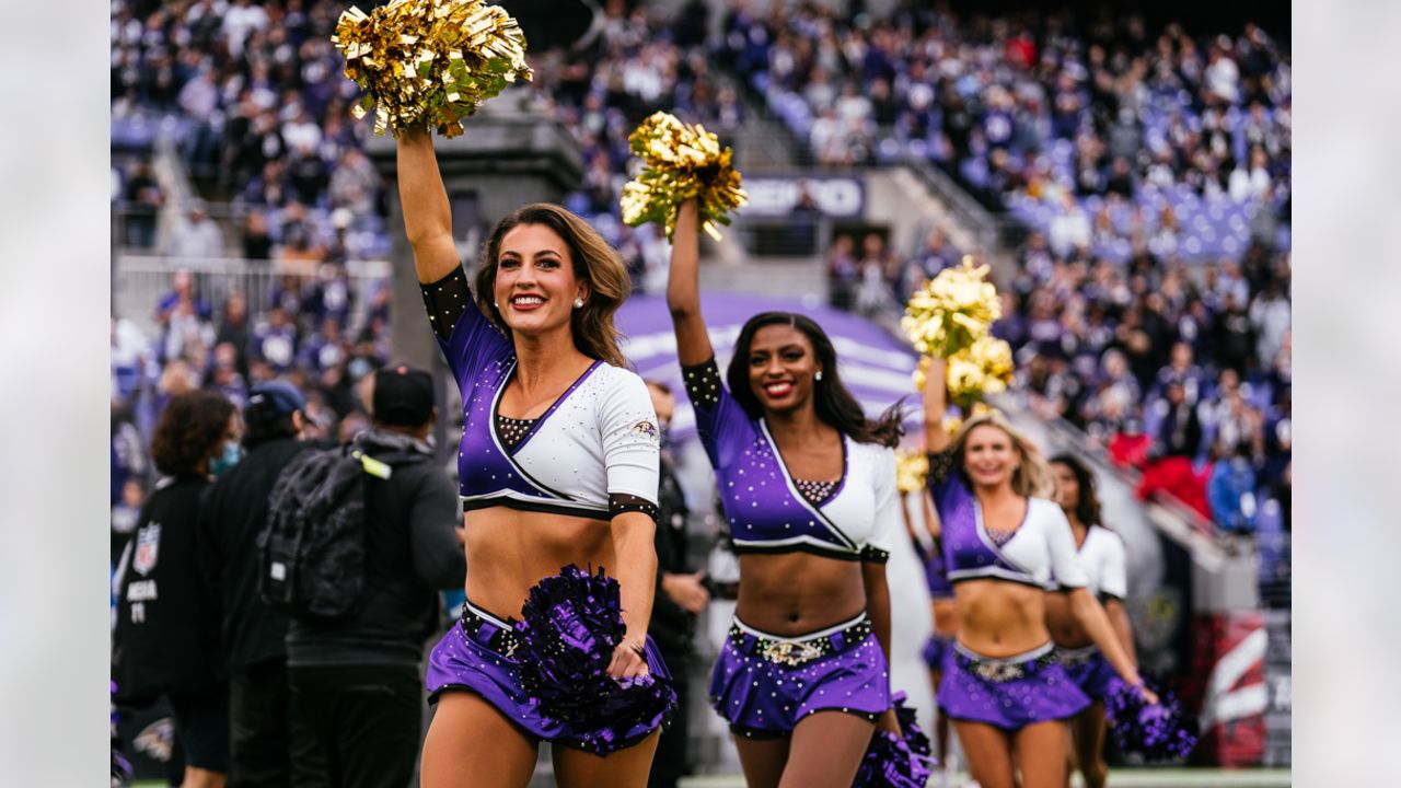 9 Baltimore Ravens Cheerleaders Images, Stock Photos & Vectors