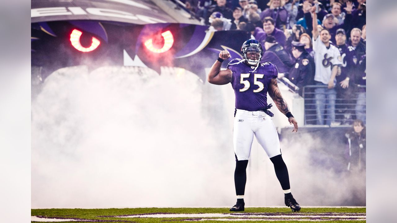 Baltimore Ravens - Haloti Ngata - wearing Terrell Suggs' #55 jersey.