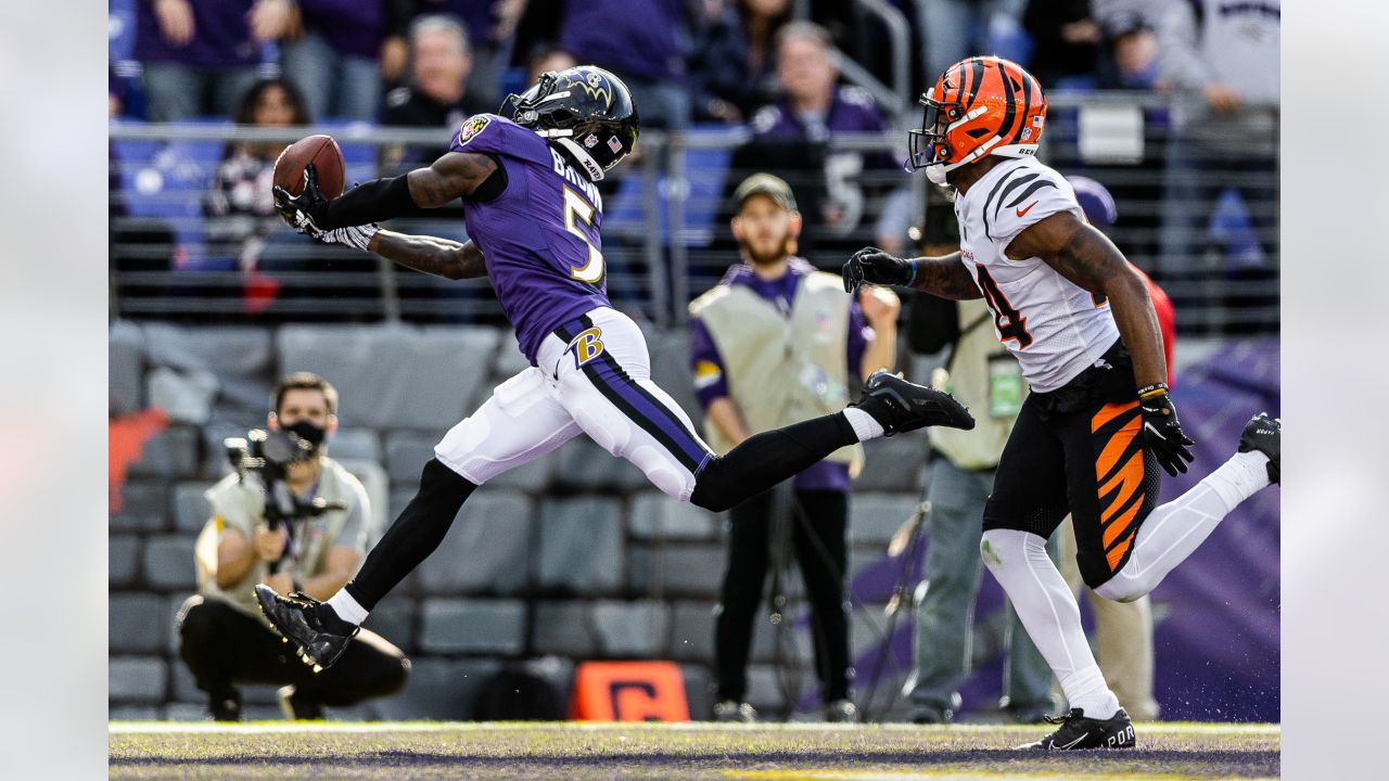 Top Shots: Ravens vs. Bengals, Week 7