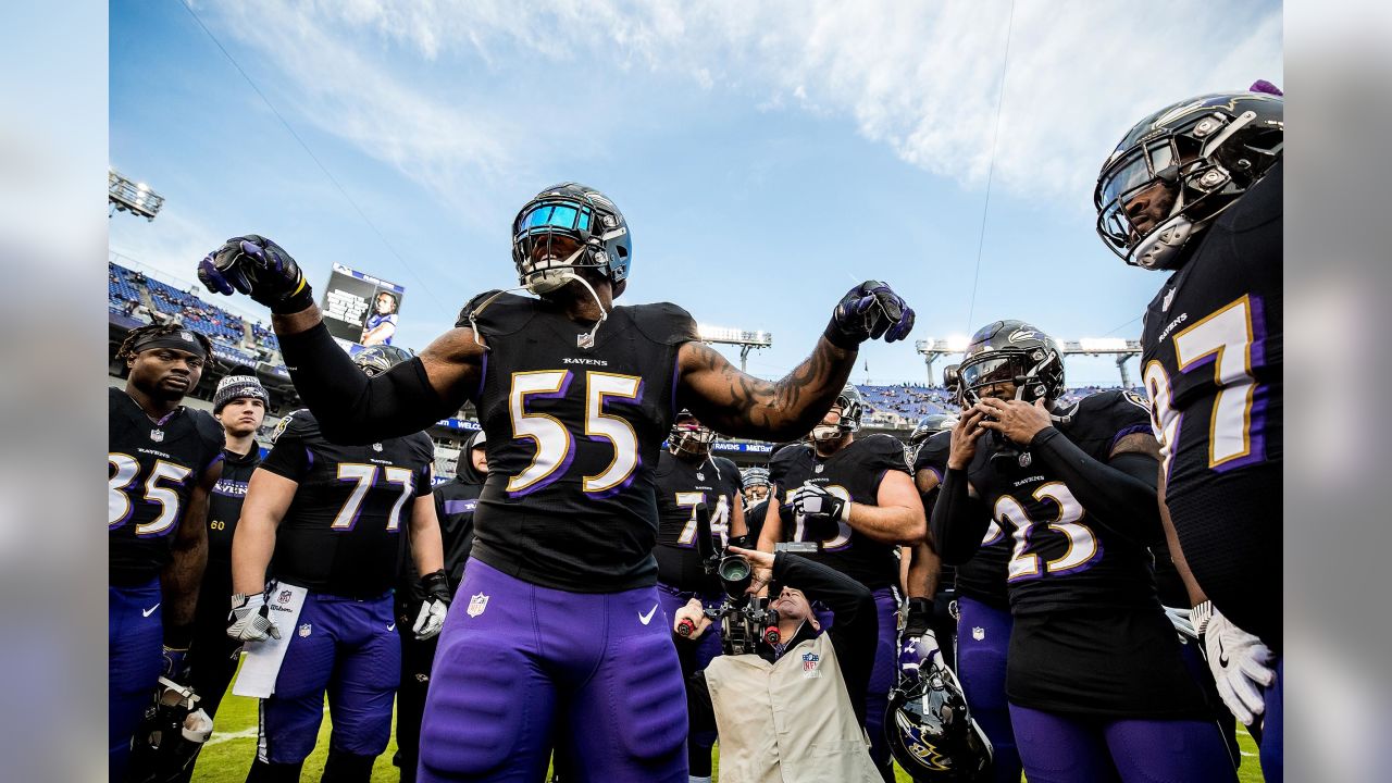 The 2019 Baltimore Ravens Will Repeat as AFC North Champions