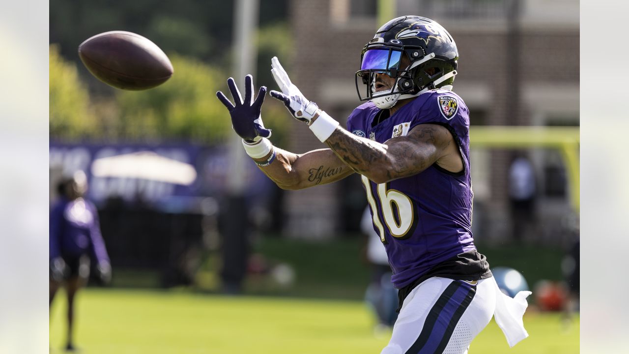 Baltimore Ravens waive three ex-Wolverines during roster cuts