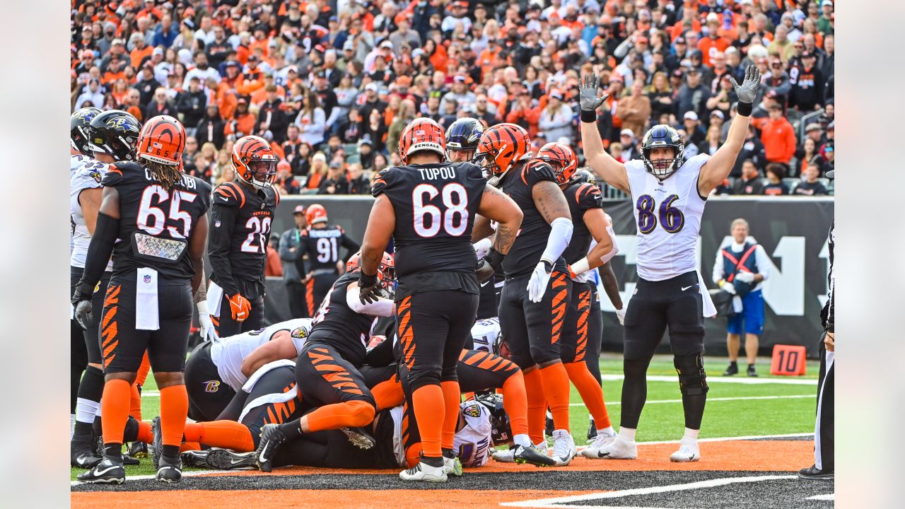 Gameday Gallery: Ravens vs. Bengals, Week 16