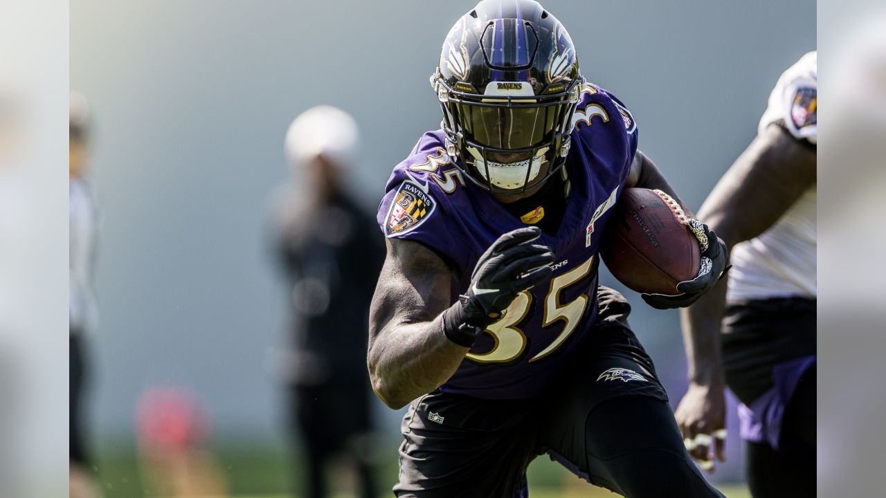 Report: Ravens Believe Marquise Brown 'Ready to Become a Feared