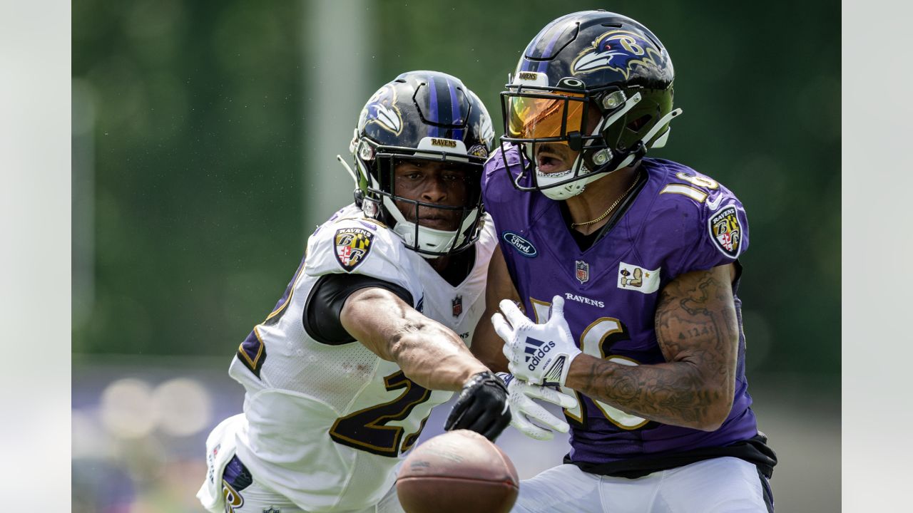 Ravens Mobile: WR Devin Duvernay, WR Tylan Wallace, WR James