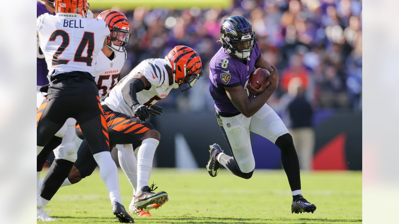 Gameday Gallery: Ravens vs. Bengals