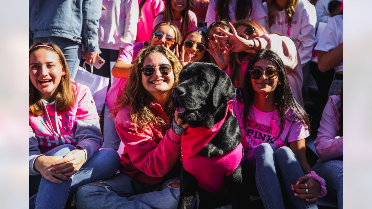 Archives: Former Bengal wideout thinks pink during Breast Cancer