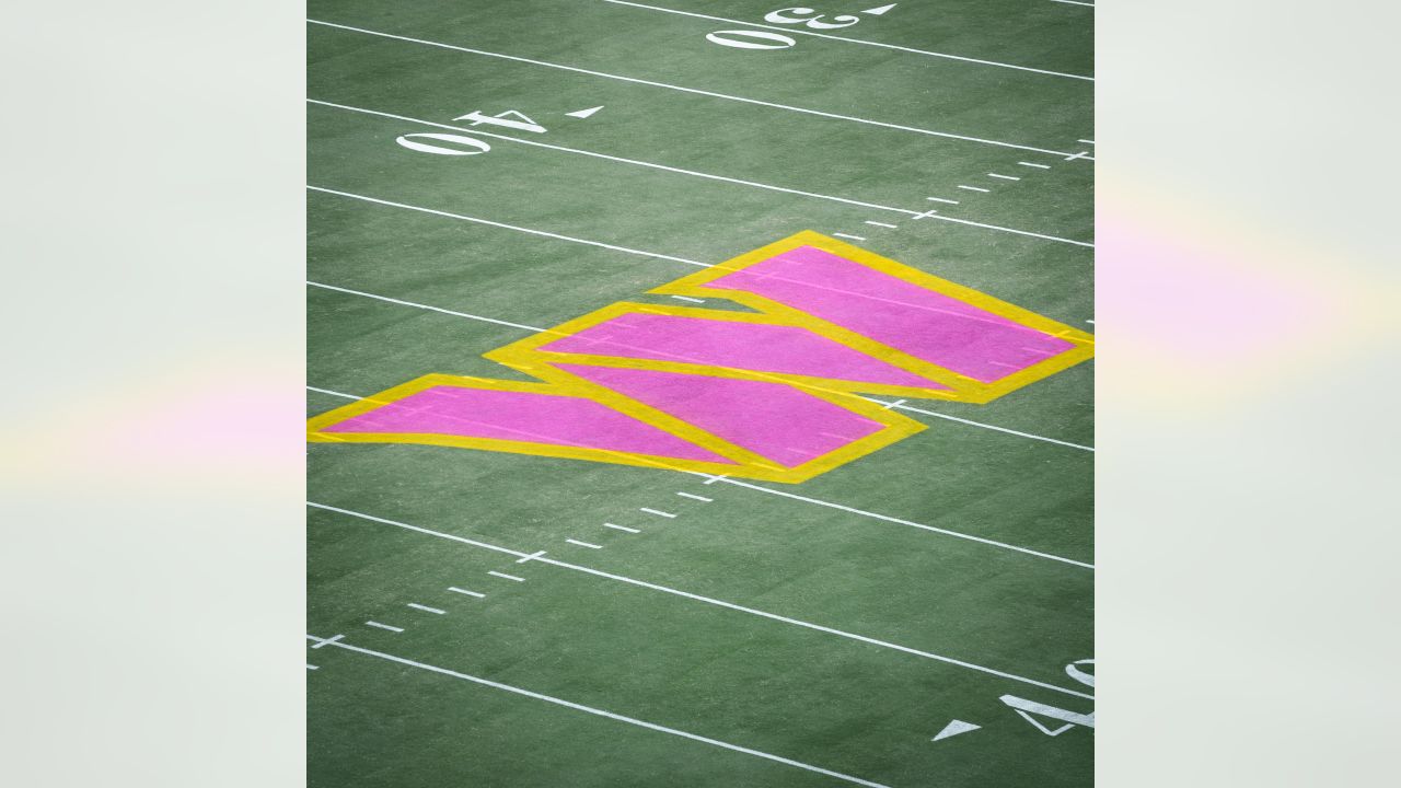 Archives: Former Bengal wideout thinks pink during Breast Cancer