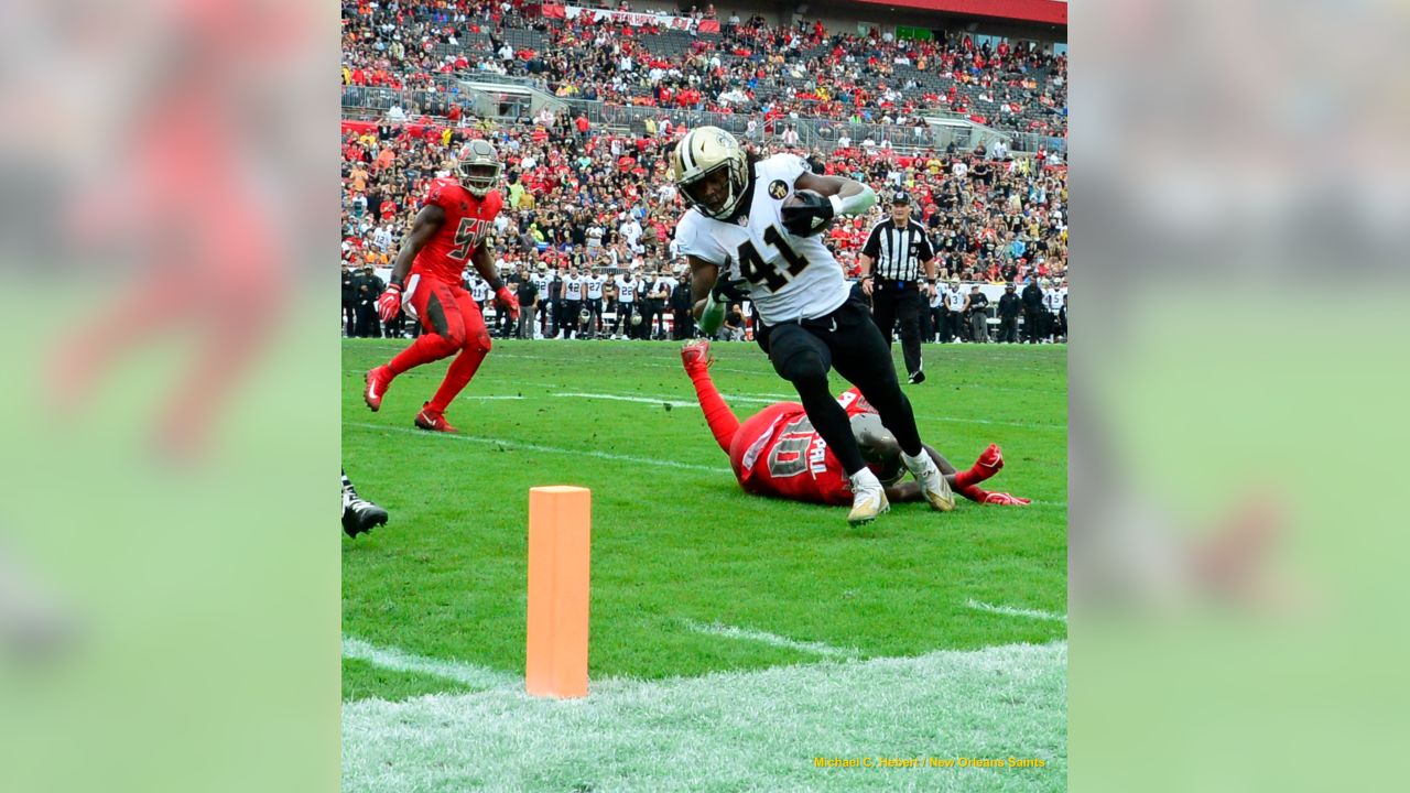 New Orleans Saints 2018 NFC SOUTH CHAMPIONS. #whodat  New orleans saints, New  orleans saints football, New orleans