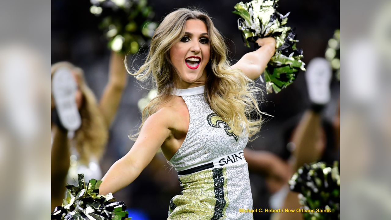 Panthers 33 - Saints 14 (L)
13-3 for the 2018 Season
Number 1 Seed in the NFC
New Orleans Saints 2018 Season
Michael C. Hebert