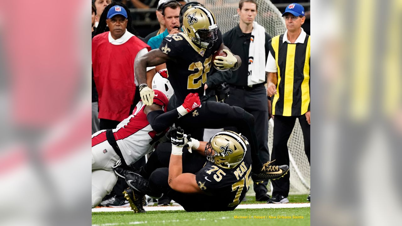 New Orleans Saints run over, around and through the Arizona Cardinals as  Cards three game winning streak ends - Revenge of the Birds