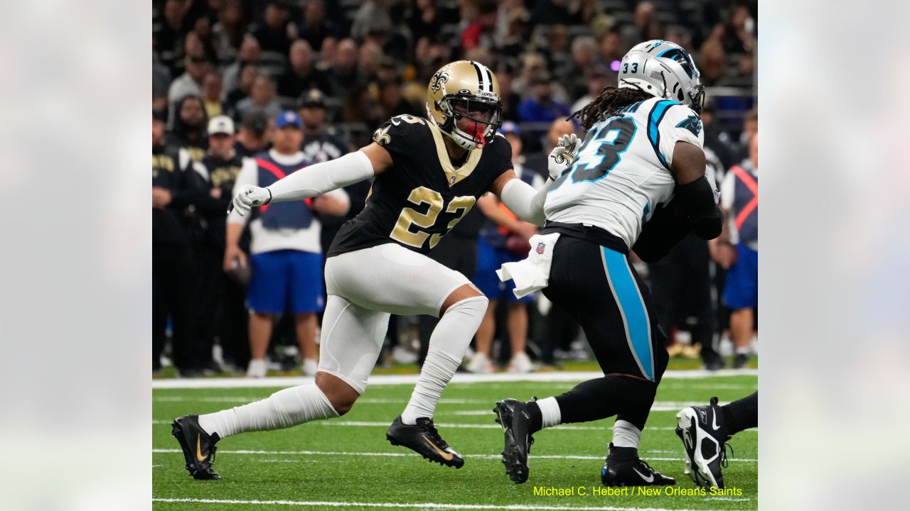 Saints' Still Alive After 18-10 Win Over the Panthers - Canal