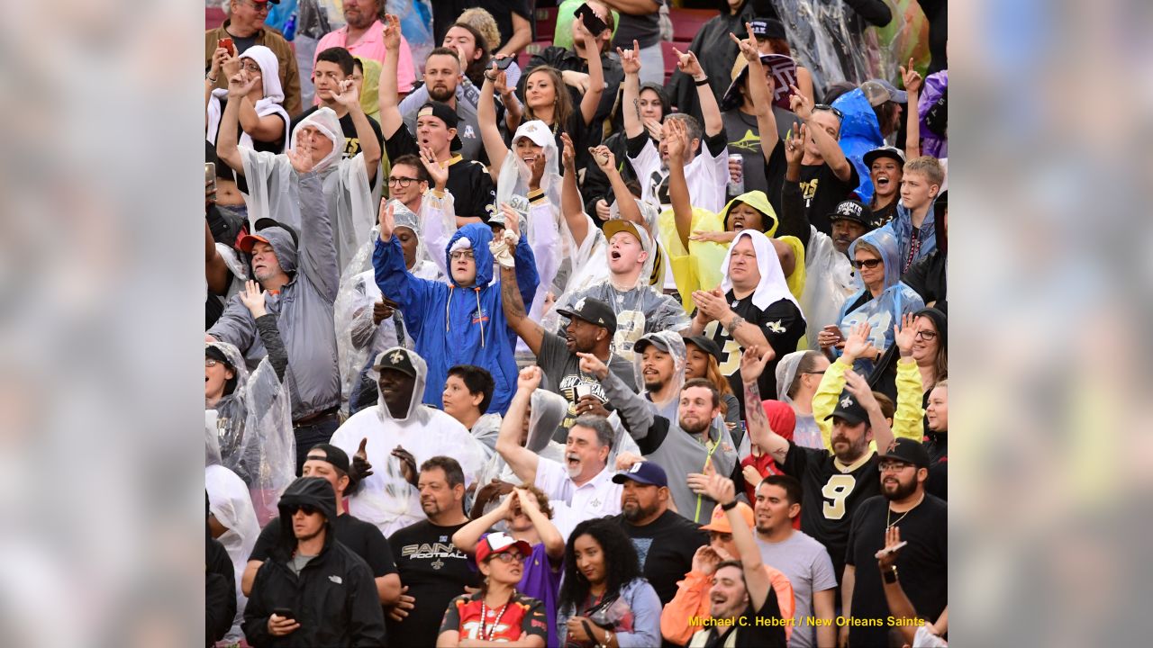 Saints 28 - Bucs 14 (W)
South Division Champions
New Orleans Saints 2018 Season
Michael C. Hebert