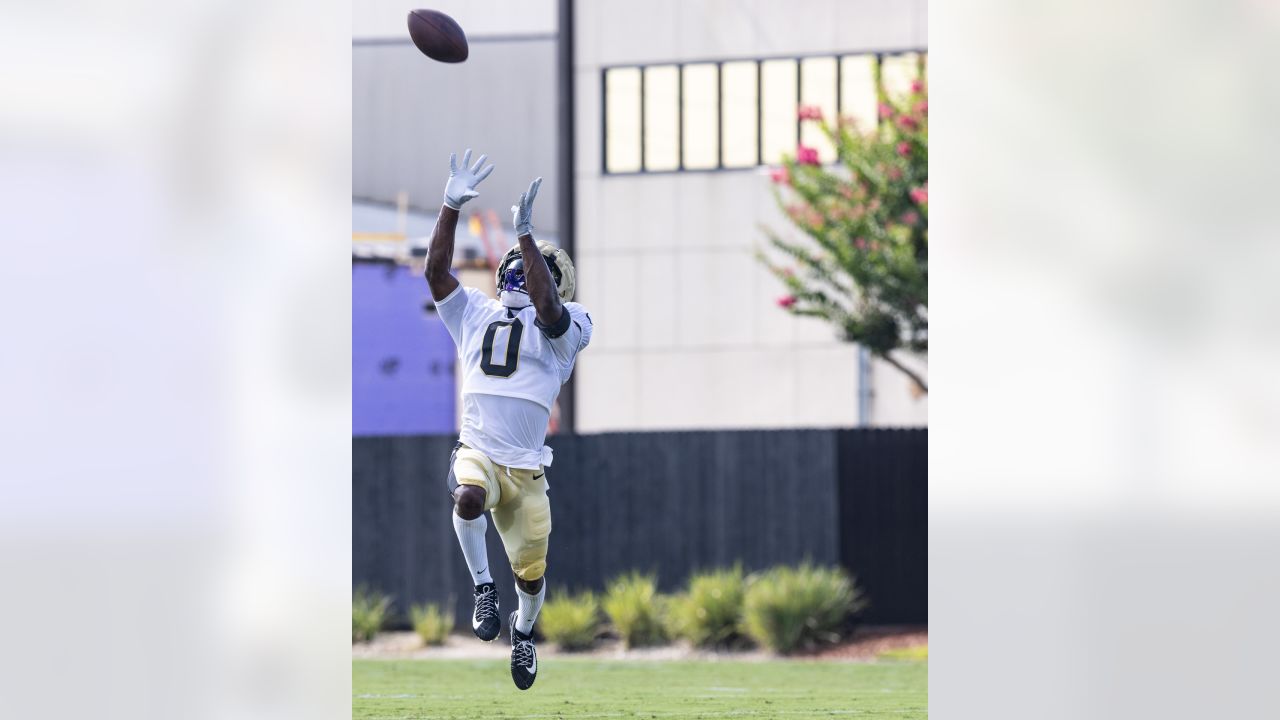 Saints announce 2023 Training Camp schedule, including 7 practices open to  public