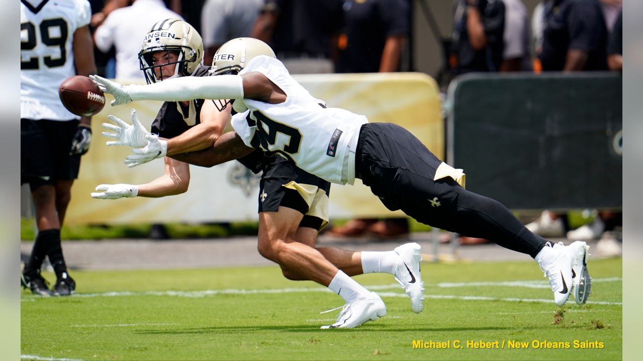 2019 New Orleans Saints - Vet Mini Camp
June 11th
All Images Copyright Michael C. Hebert