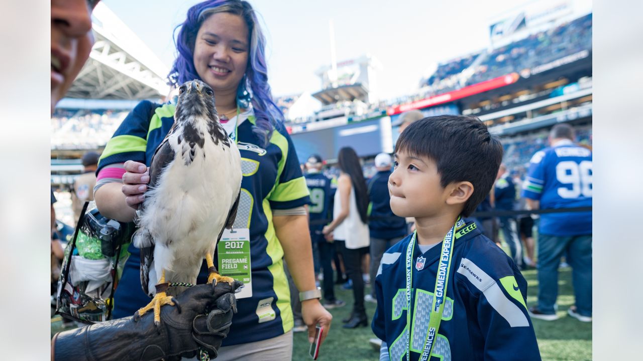 Seahawks mascot Taima recovering after surgery at WSU