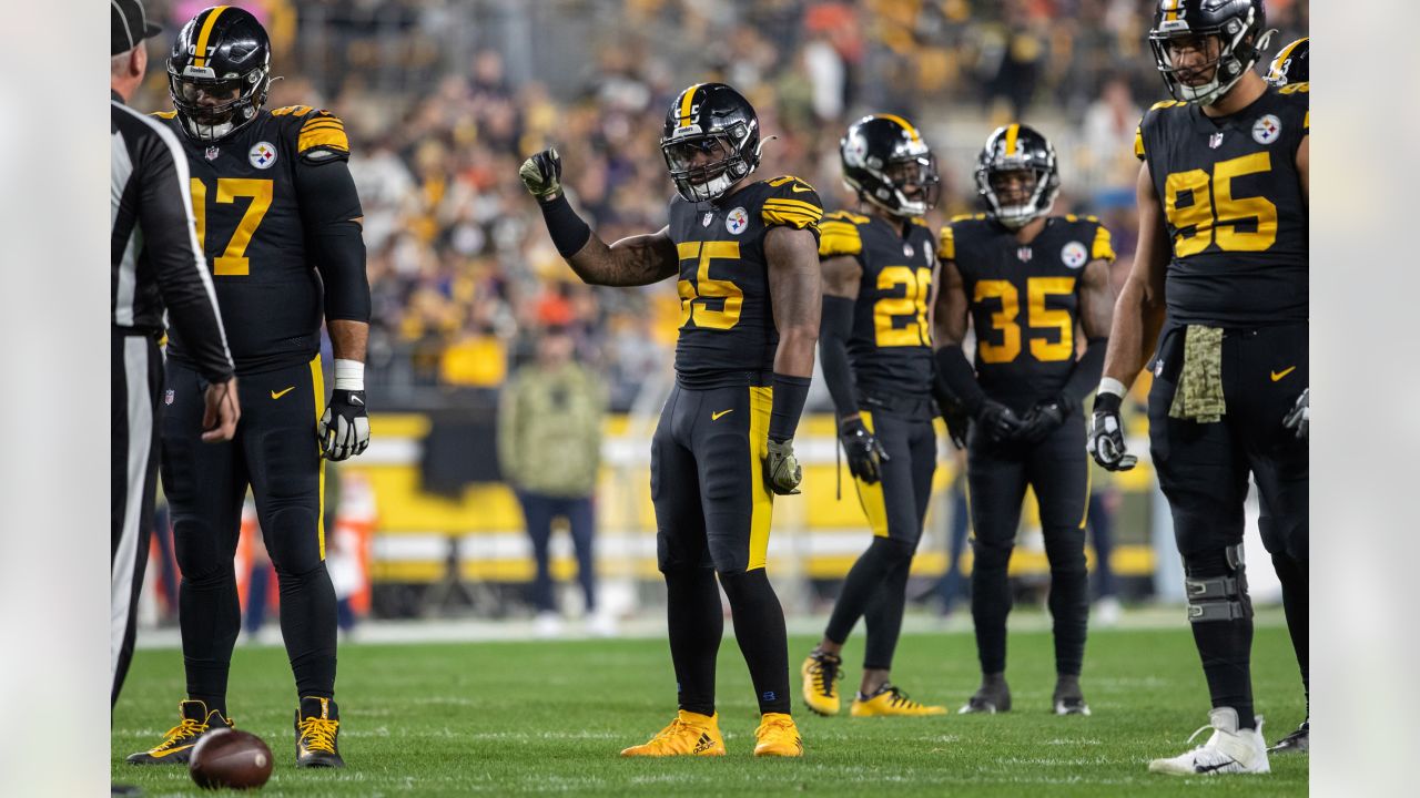 PITTSBURGH, PA - NOVEMBER 20: Pittsburgh Steelers linebacker Devin Bush (55)  looks on during the