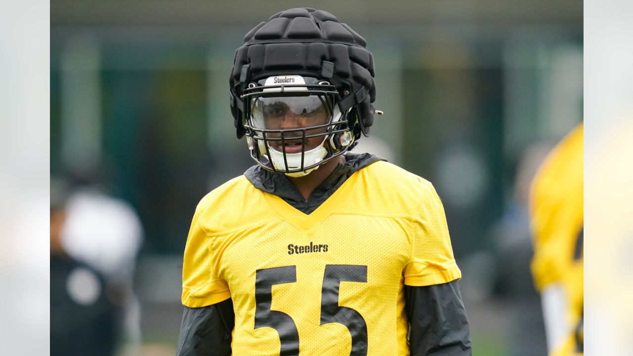 Ex-Wolverines LB Devin Bush seeks fresh start with Seahawks