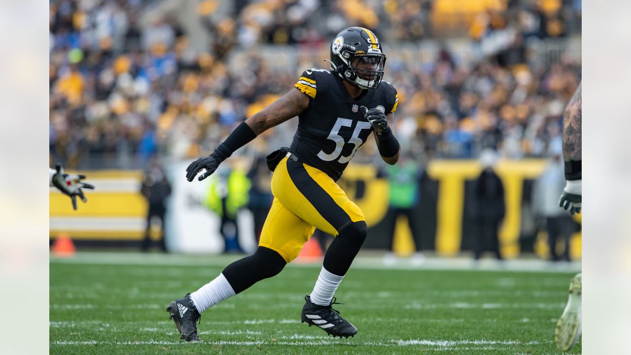 Can LB Devin Bush make the Seahawks defense elite? - A to Z Sports