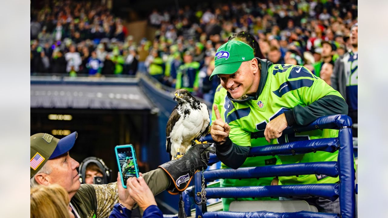 Seattle Seahawks' Live Hawk Taima Lands on Fan's Head During Game