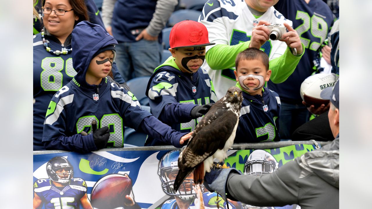 Seattle Seahawks' Live Hawk Taima Lands on Fan's Head During Game