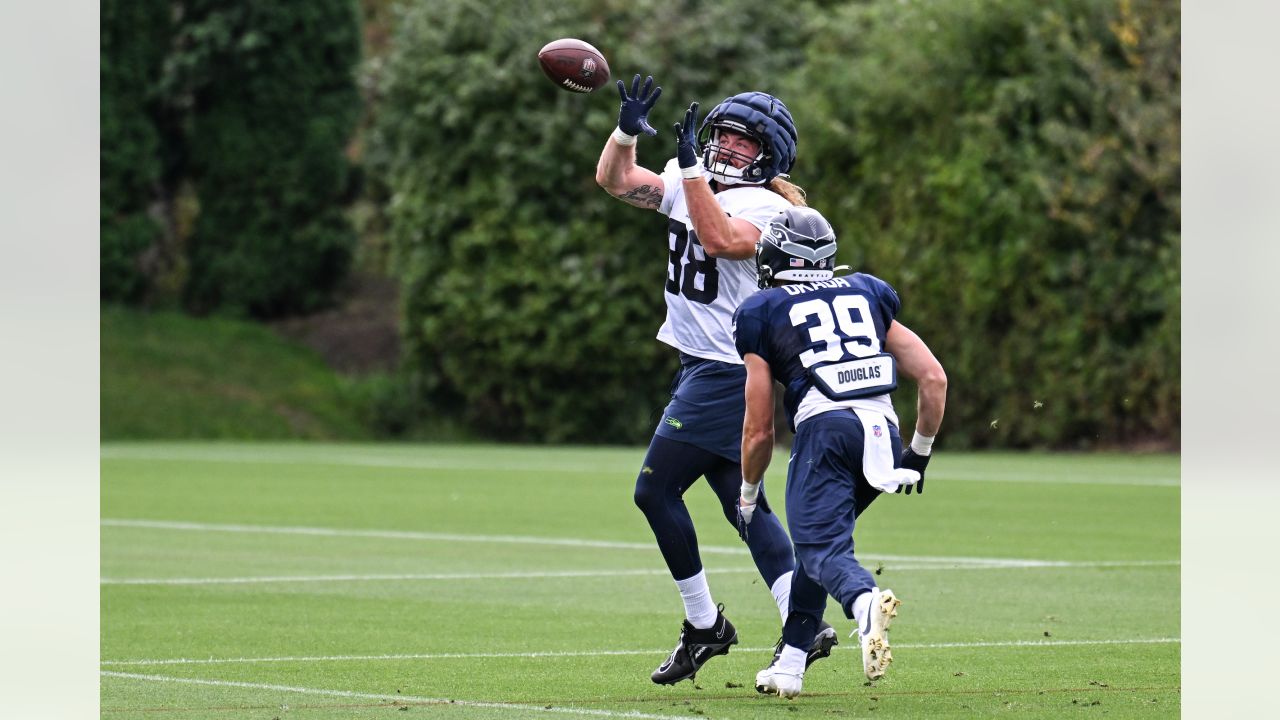 Bozeman's Dissly continuing to thrive as Seahawks win, Sports